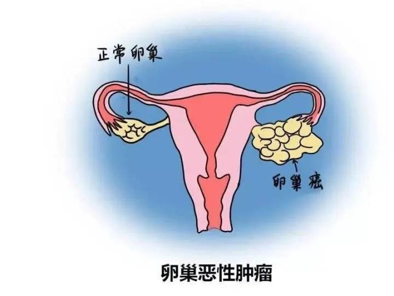 衡山虹妇幼医院的发展现状与服务质量探析